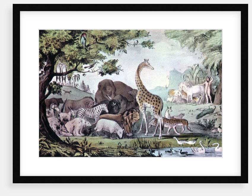 Adam Naming the Creatures by Nathaniel Currier