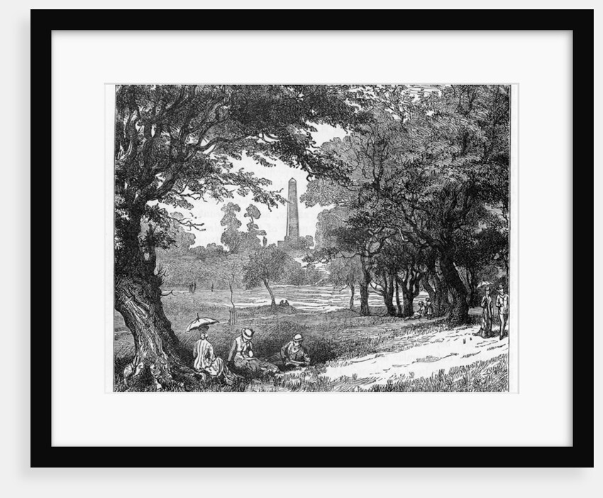 The Phoenix Park, Dublin by Anonymous