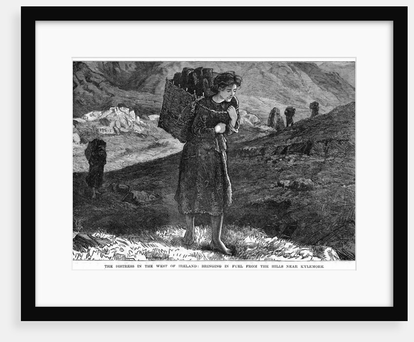 The Distress in the West Ireland: Bringing in Fuel from the Hills near Kylemore by Anonymous