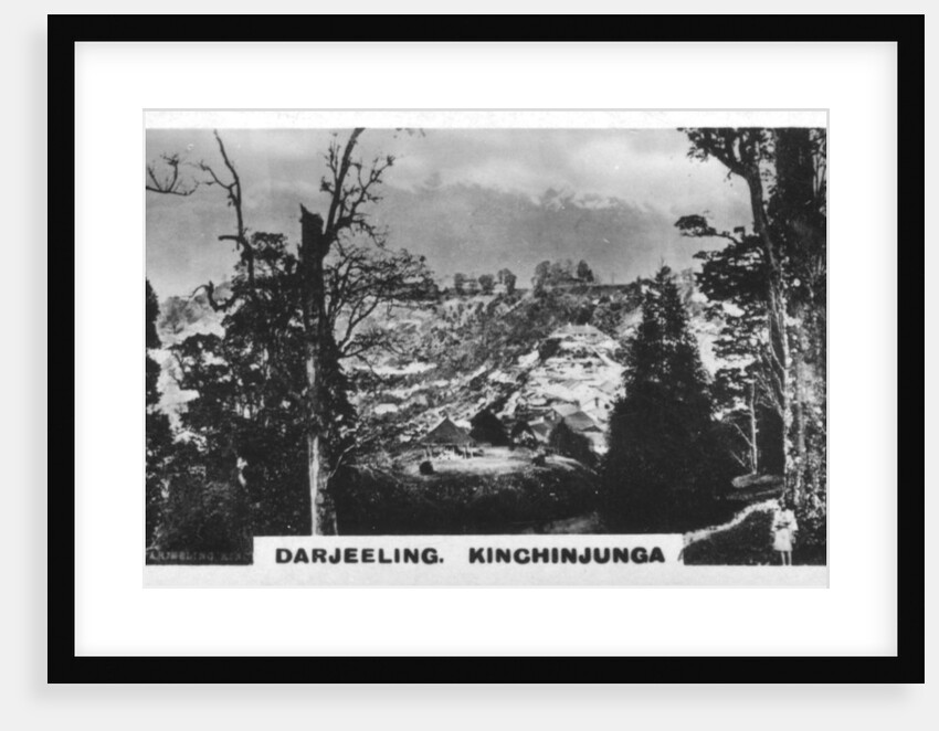 Kinchinjunga from Beechwood, Darjeeling, India by Anonymous