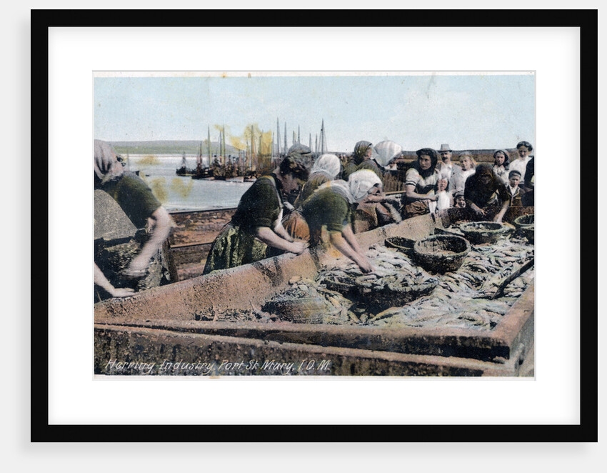 Herring industry, Port St Mary, Isle of Man by Anonymous