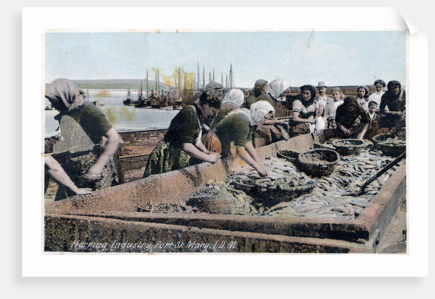 Herring industry, Port St Mary, Isle of Man by Anonymous