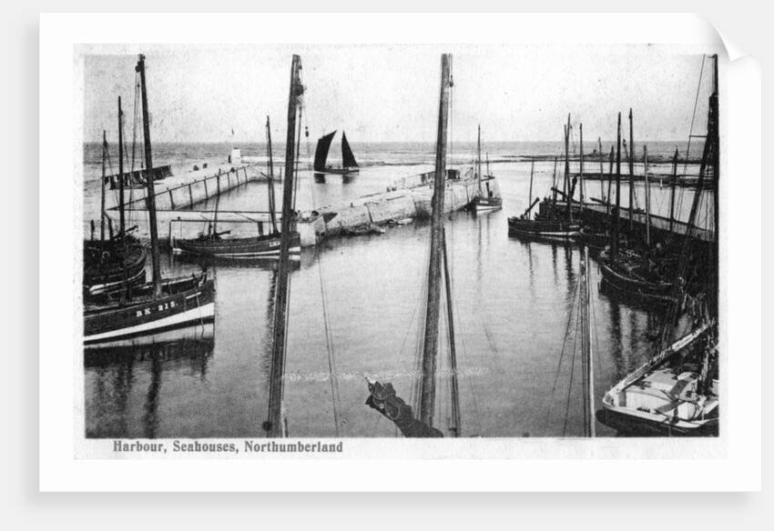 Harbour, Seahouses, Northumberland by Anonymous