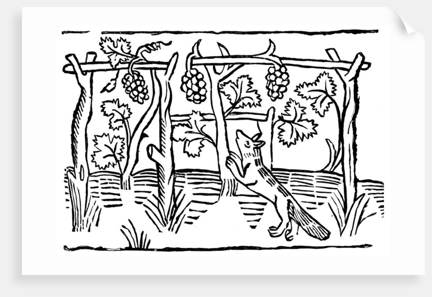 The Fox and the Grapes by Anonymous