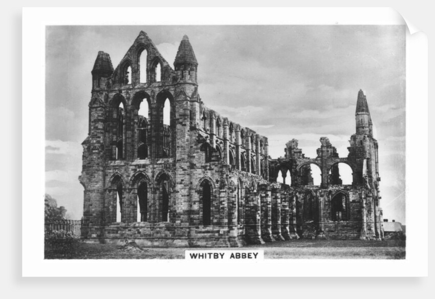 Whitby Abbey by Anonymous