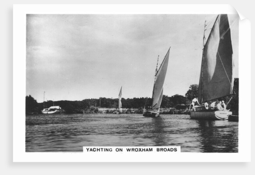 Yachting on Wroxham Broads by Anonymous