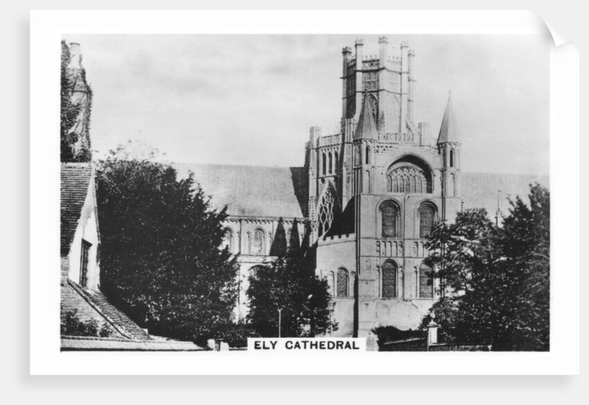Ely Cathedral, Cambridgeshire by Anonymous