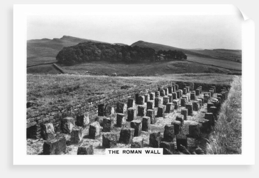 The Roman Wall, Housesteads, Northumberland by Anonymous