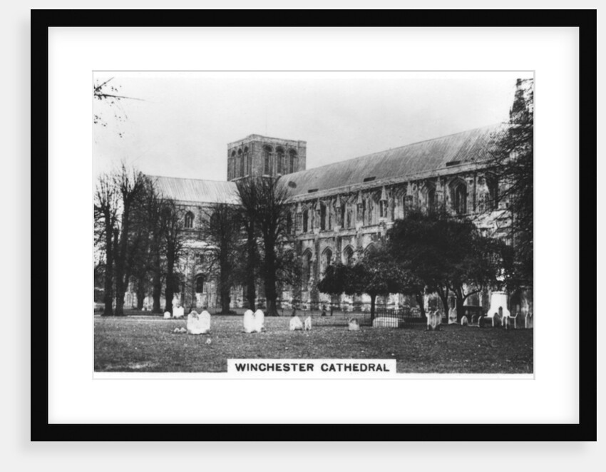 Winchester Cathedral, Hampshire by Anonymous