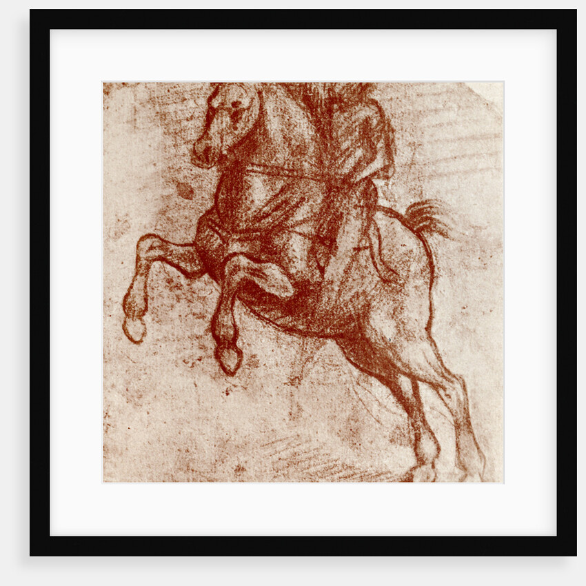 Study of a Knight by Leonardo Da Vinci