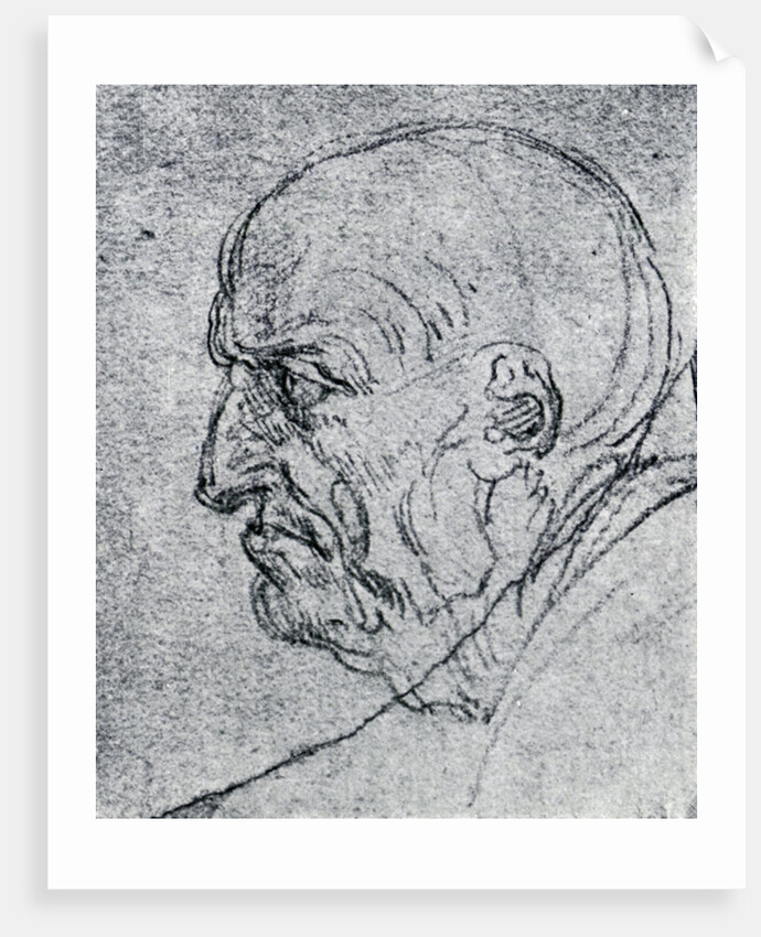Head of an Old Man by Leonardo Da Vinci