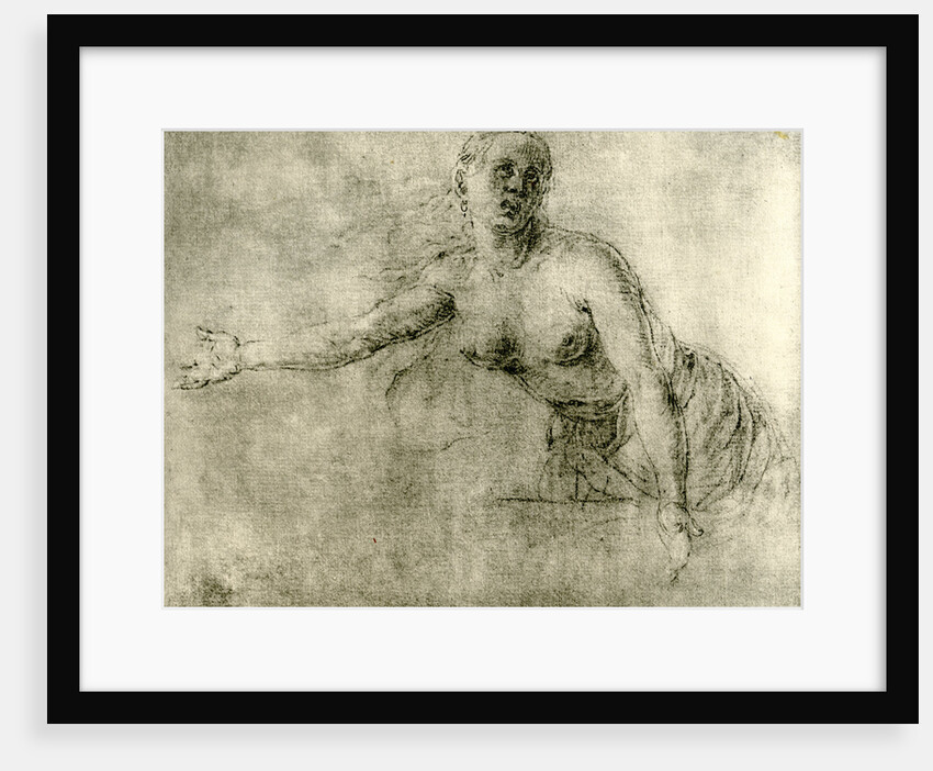 A study by Albrecht Dürer