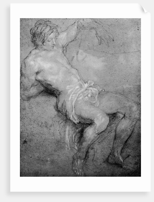 Study for the 'St Sebastian' by Anthony van Dyck