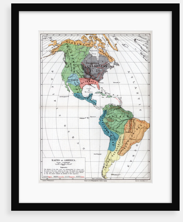 Races of America by Anonymous