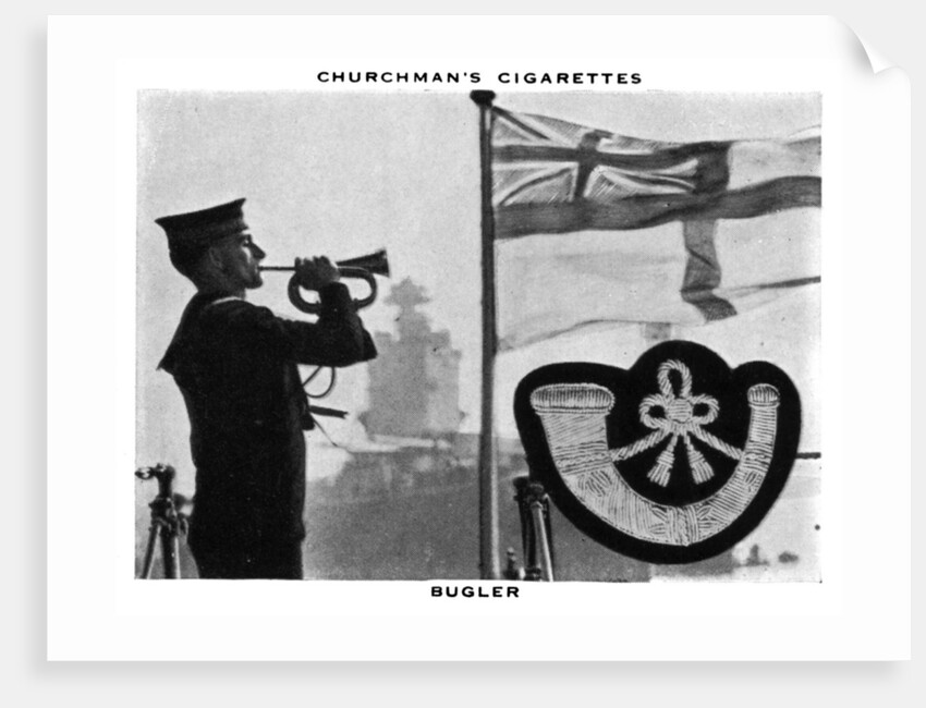 Bugler by WA & AC Churchman