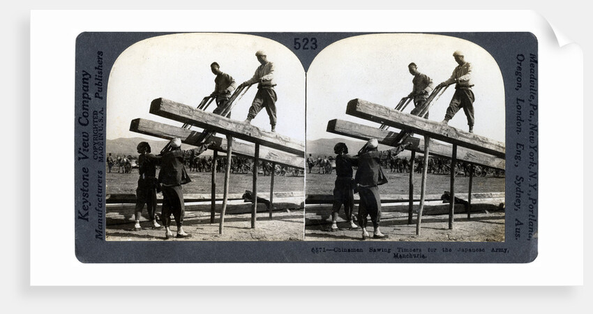 Chinese men sawing timber for the Japanese army, Manchuria, Russo-Japanese war by Keystone View Company