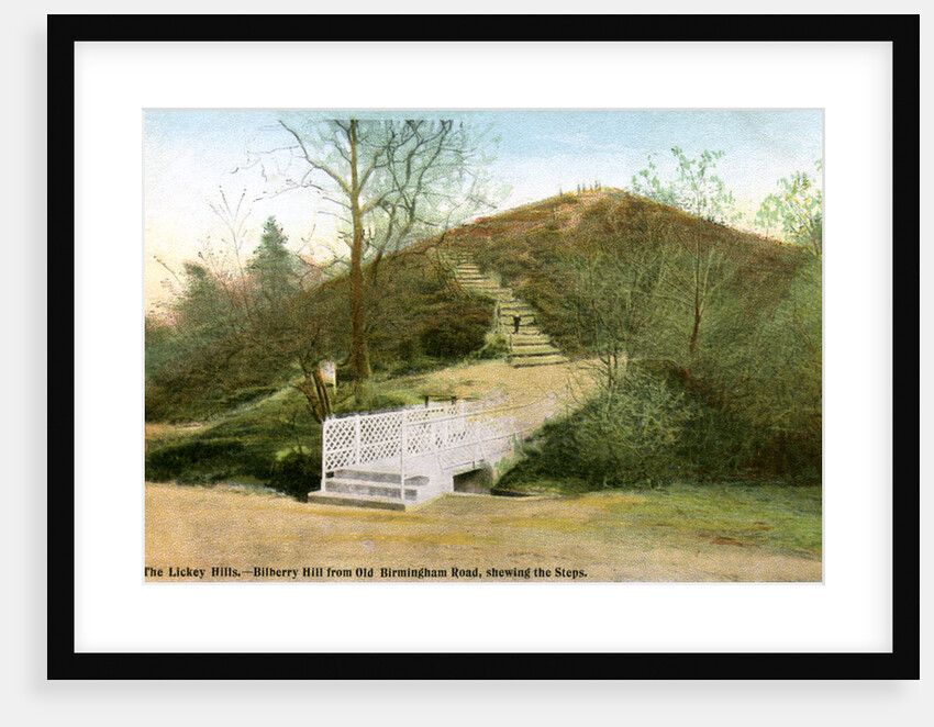 The Lickey Hills by Anonymous