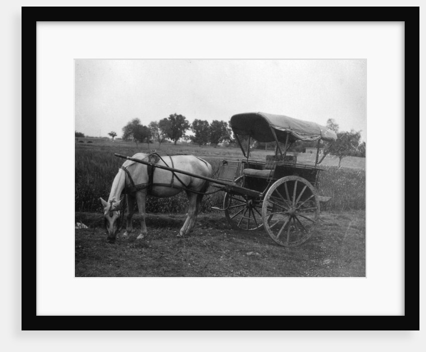 Tonga (horse cart), Muttra, India by Anonymous