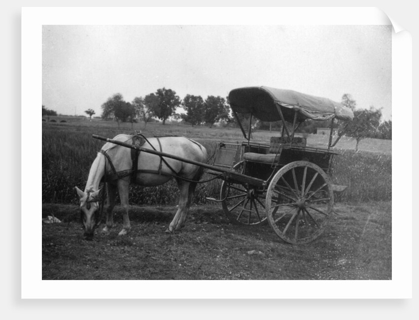 Tonga (horse cart), Muttra, India by Anonymous