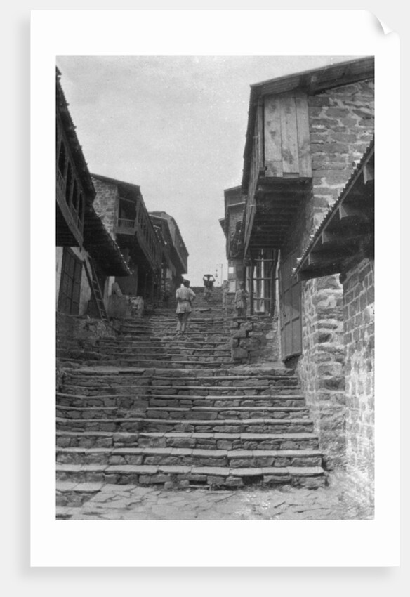 Steps leading to the kailana bazaar, India by Anonymous