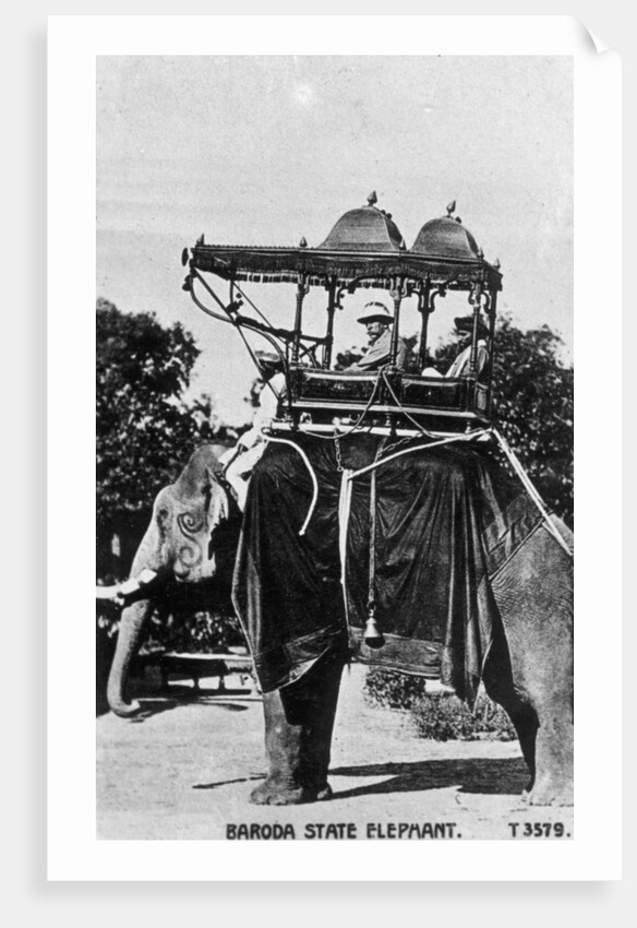 Baroda state elephant, India by Anonymous