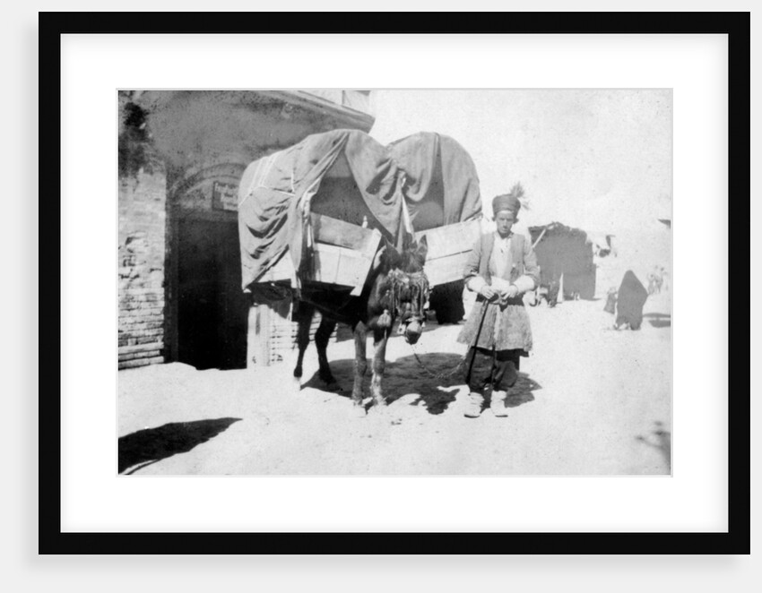 Persian donkey transport, Baghdad, Iraq by Anonymous