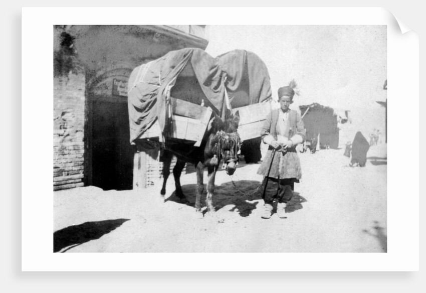 Persian donkey transport, Baghdad, Iraq by Anonymous