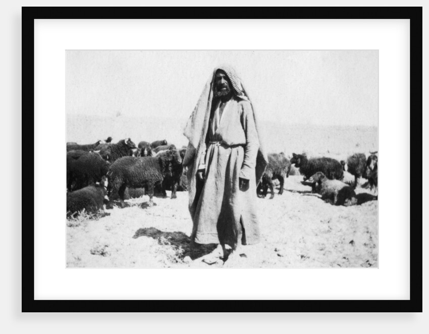Arab shepherd, Kazimain area, Iraq by Anonymous
