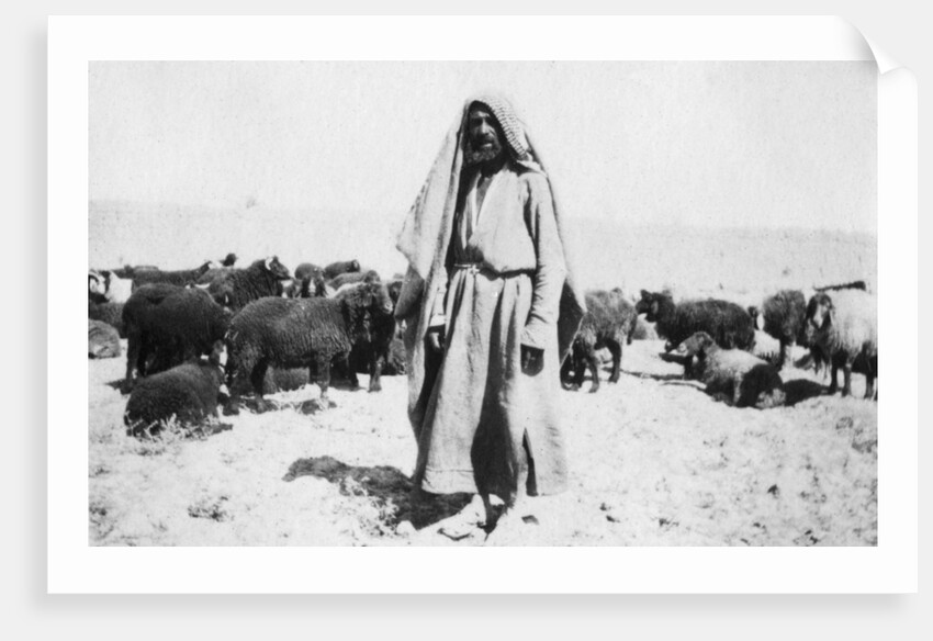 Arab shepherd, Kazimain area, Iraq by Anonymous