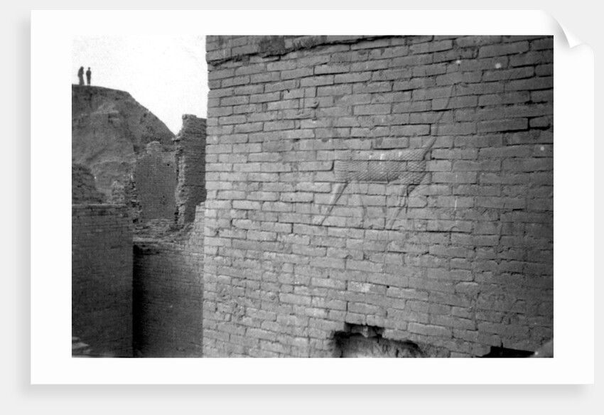 Relief on the Ishtar Gate, Babylon by Anonymous