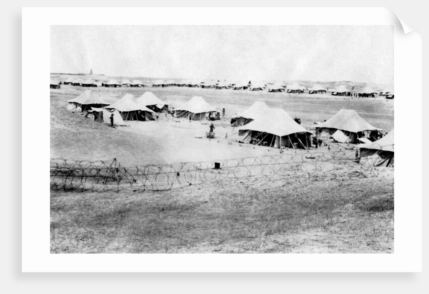 1/5 RWR battalion camp, Samarra, Mesopotamia by Anonymous
