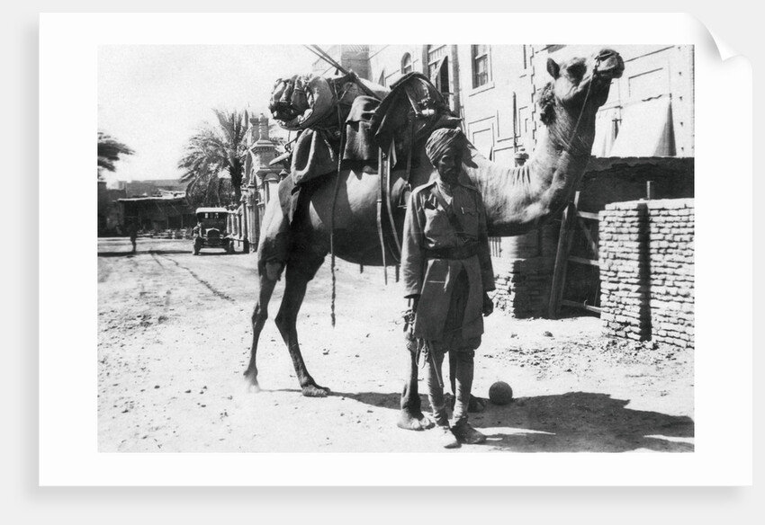 Indian camel trooper, Baghdad by Anonymous