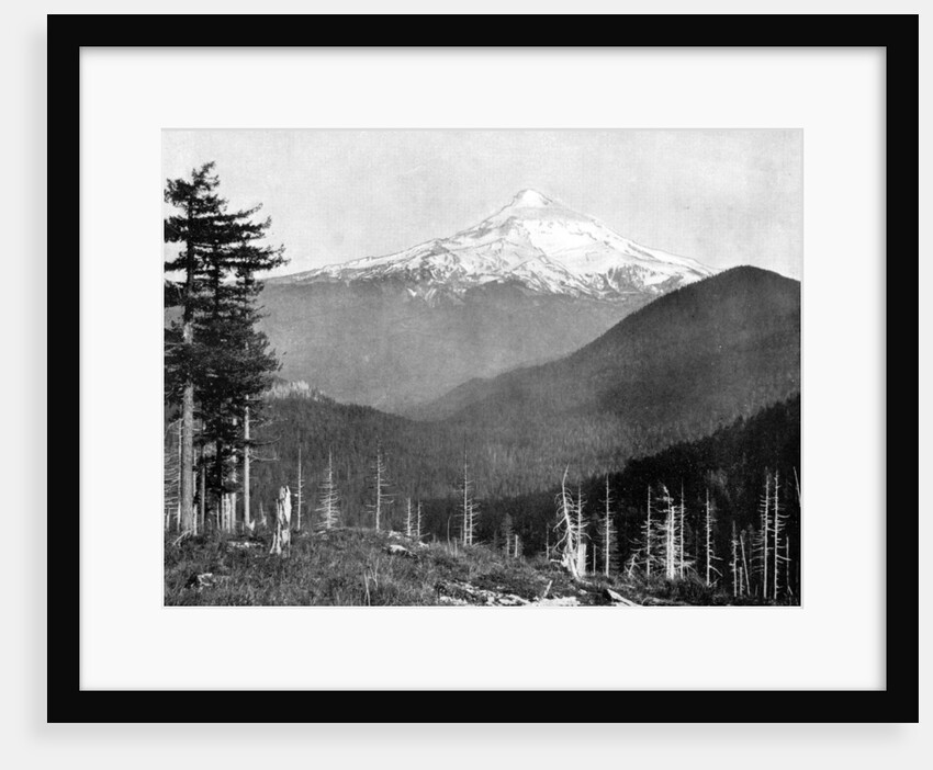 Mount Hood, Oregon, USA by John L Stoddard