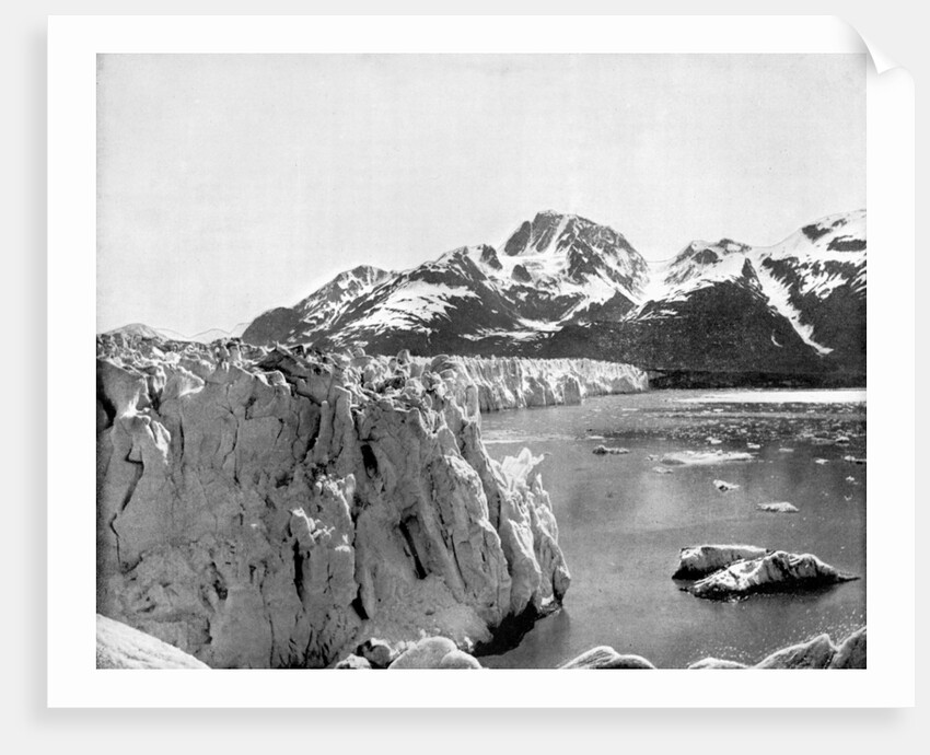 Muir Glacier, Alaska, USA by John L Stoddard