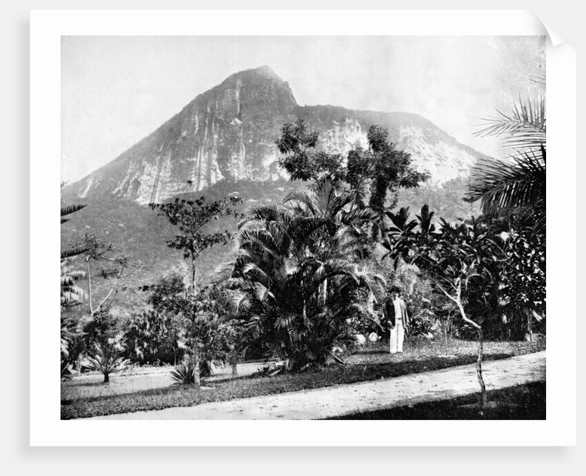 Botanical Gardens and Mount Corcovado, Rio De Janeiro, Brazil by John L Stoddard