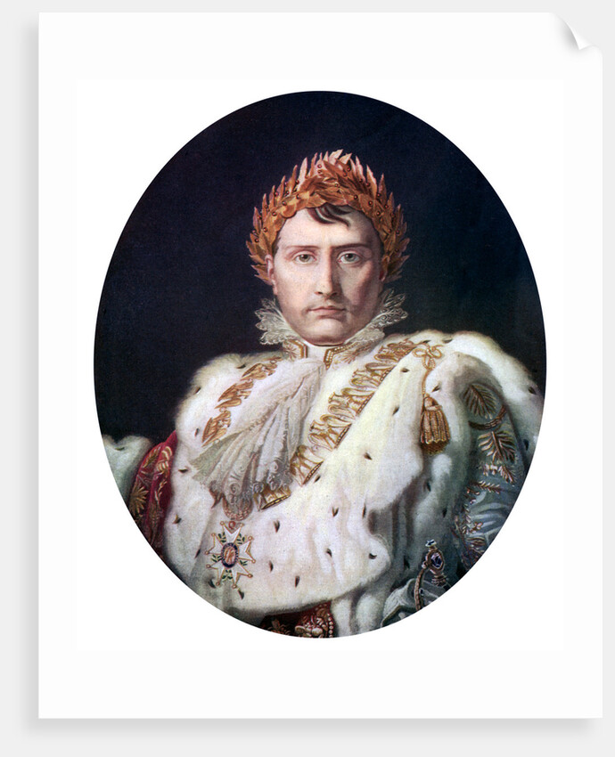 Napoleon I in his coronation robe by Anonymous