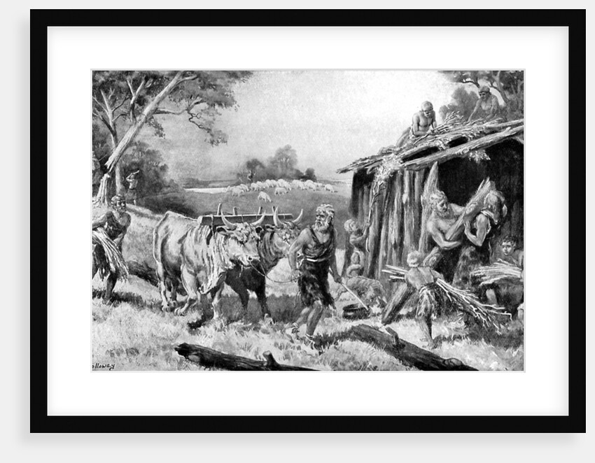 Building a tribal homestead by A Holloway