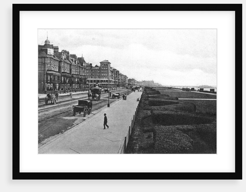 The lawns, Hove by Anonymous