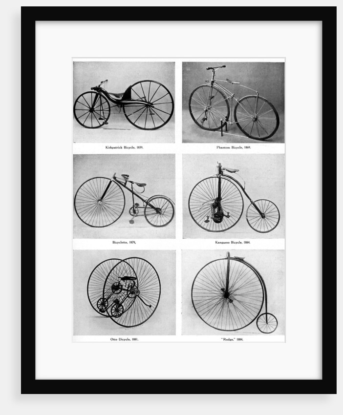 The evolution of the bicycle by Anonymous