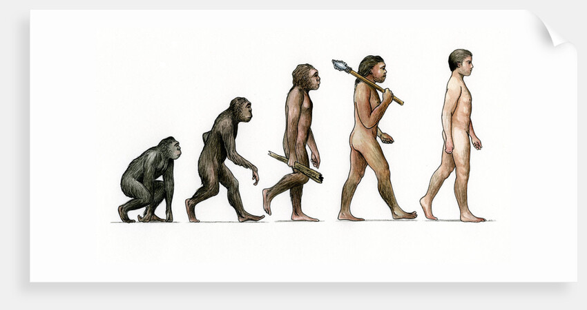 Evolution of Man by Karen Humpage