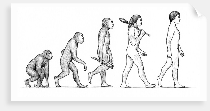 Evolution of Man by Karen Humpage