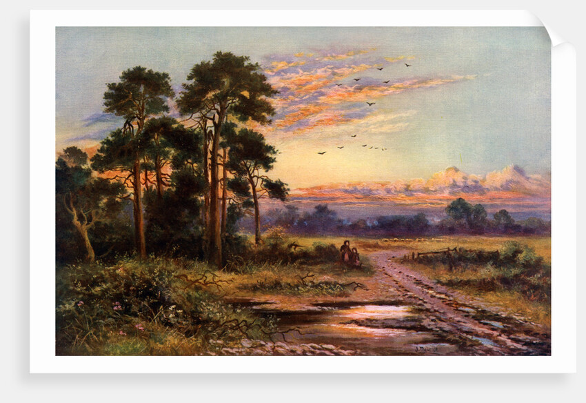 Autumn Sunset by J Maurice