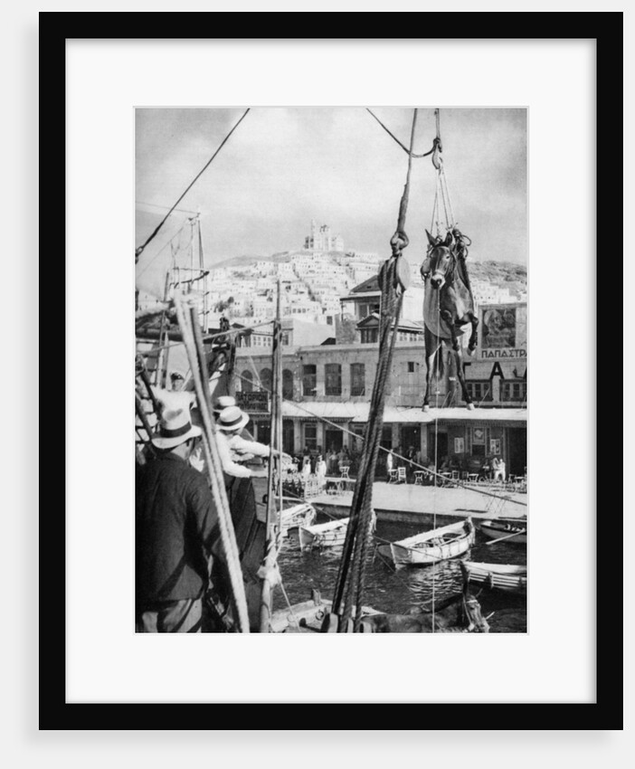 The shipping of mules, Syros Island, Greece by Martin Hurlimann