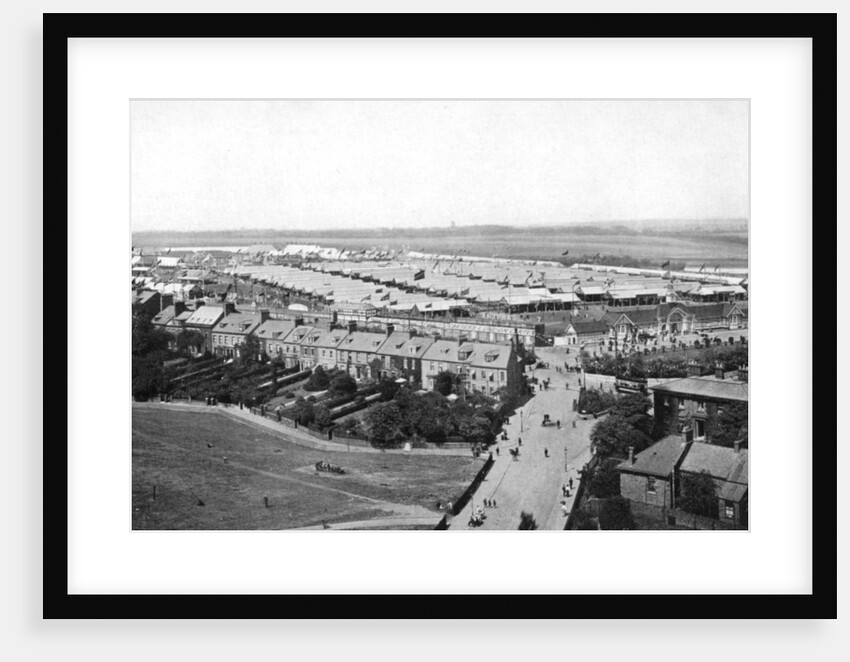 The Royal Show, Newcastle upon Tyne by George Frank