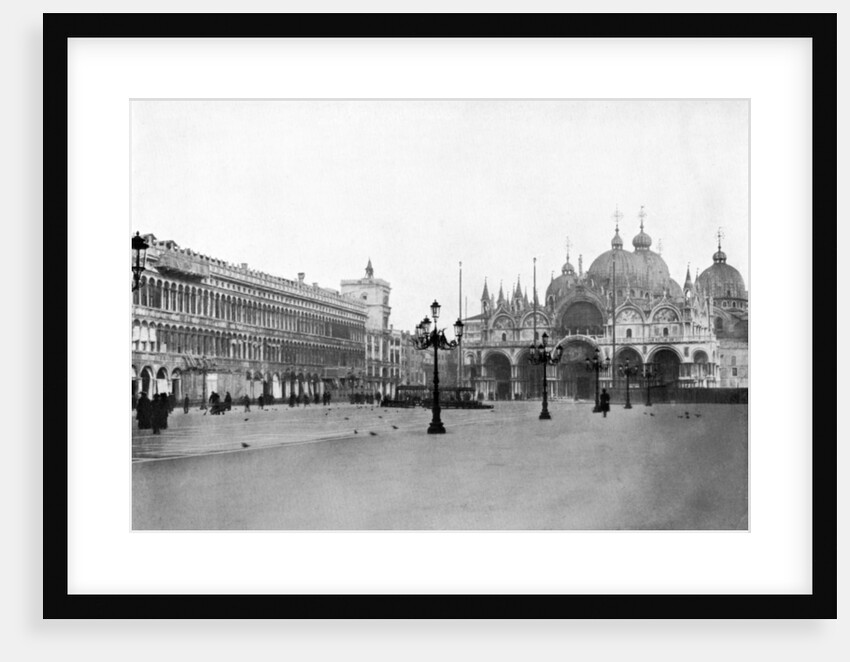 Plaza San Marco, Venice, Italy by Homer L Knight