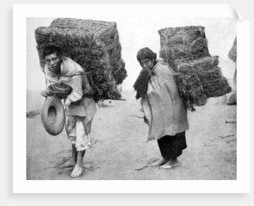 Natives of Mexico by Anonymous