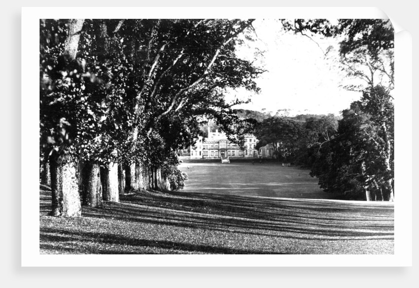 Mount Edgcumbe by Anonymous