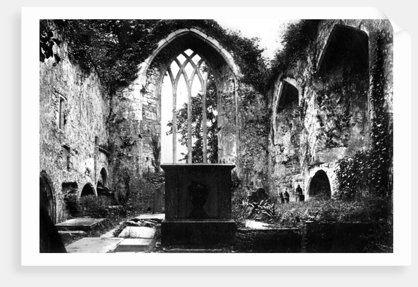 Muckross Abbey, Killarney by Anonymous