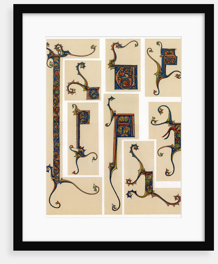 Illuminated initial letters by Anonymous