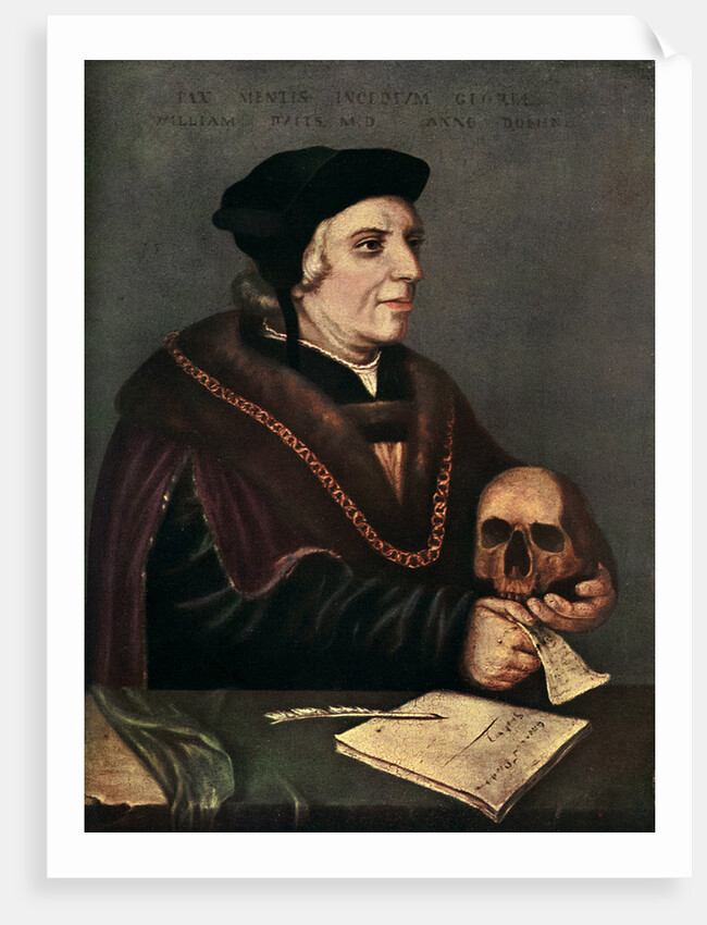 Sir William Butts (c1486-1545) by Hans Holbein The Younger